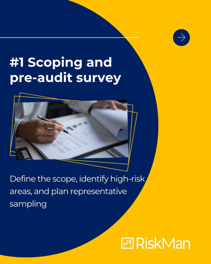 Scoping and Pre-audit Survey